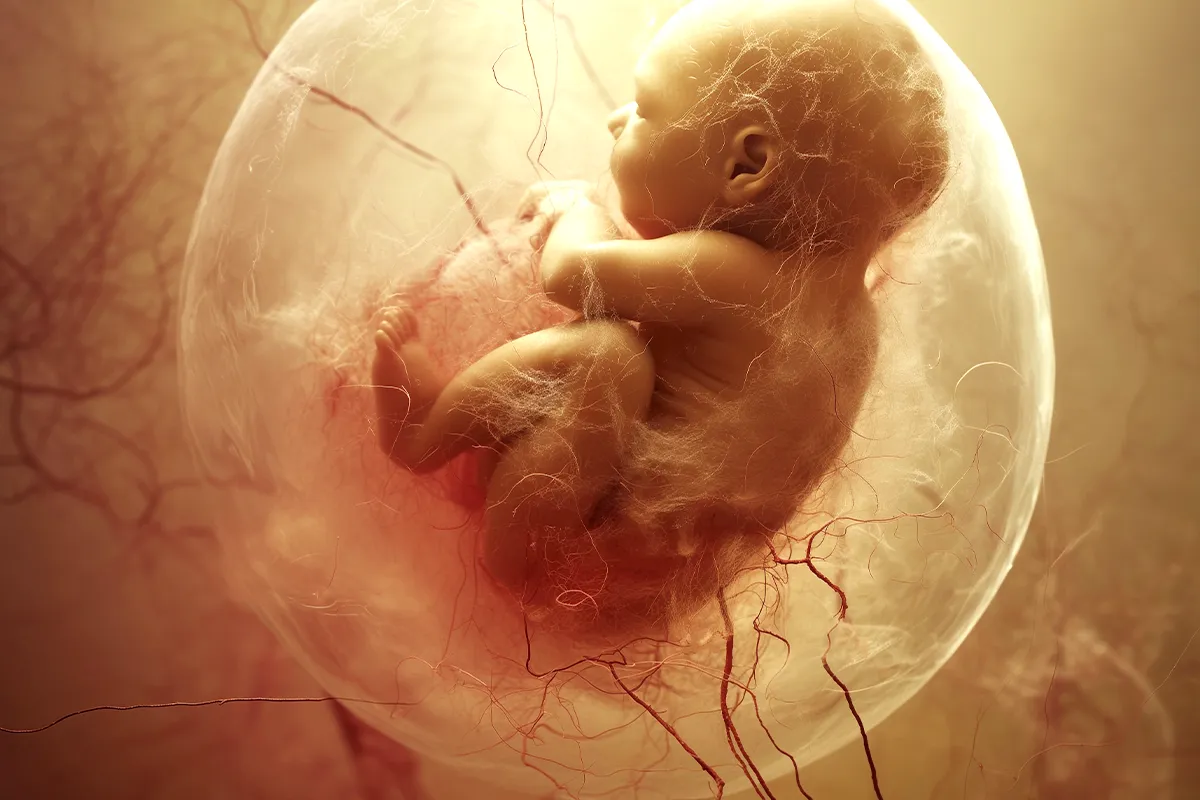 Bedeutung von Vitamin D in der Schwangerschaft Fötus in einer Fruchtblase