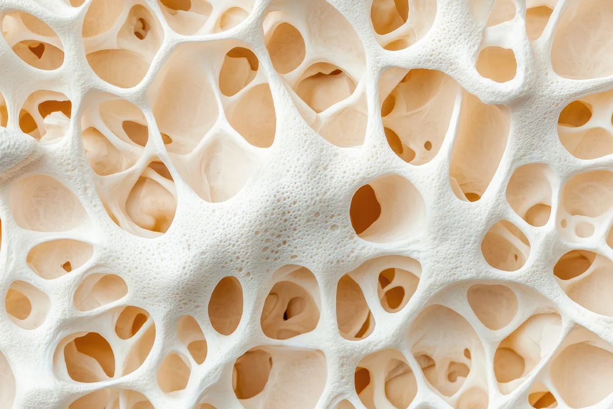 Schematische Nahaufnahme der Knochenoberstruktur