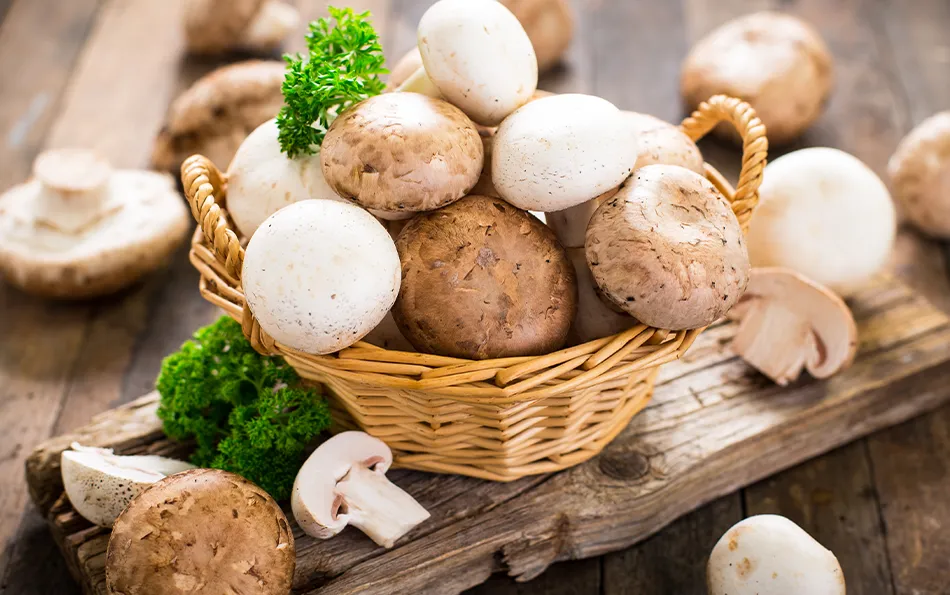 Pilze in einem Korb und drum herum und mit Petersilie dekoriert